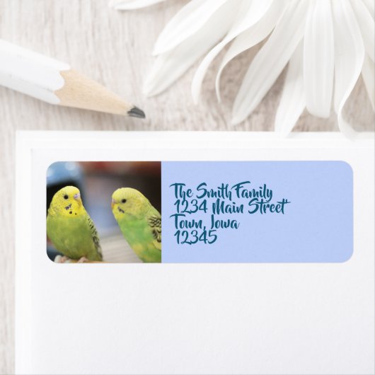 Ernstige keets etiket (Insitu)