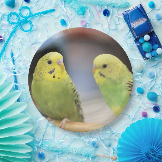 Ernstige keets papieren bordje (Feest)