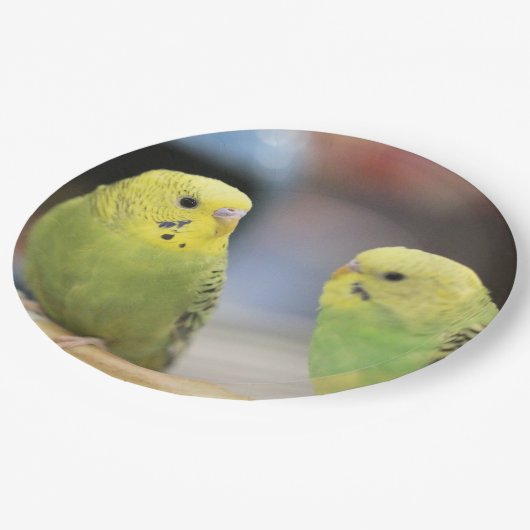 Ernstige keets papieren bordje (Gekanteld)