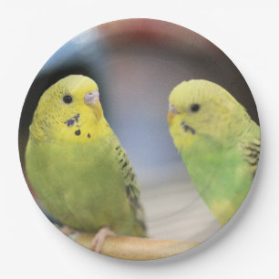 Ernstige keets papieren bordje