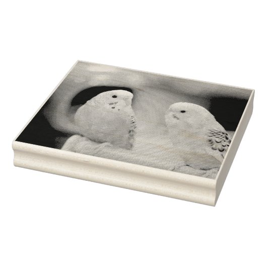 Ernstige keets rubberstempel (Stempel)