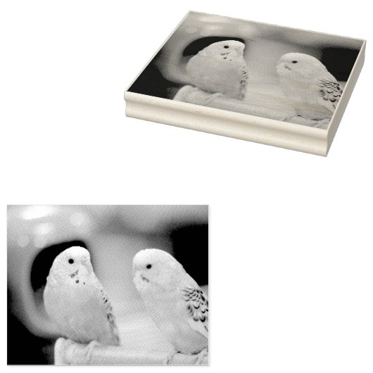 Ernstige keets rubberstempel (Gestempeld)