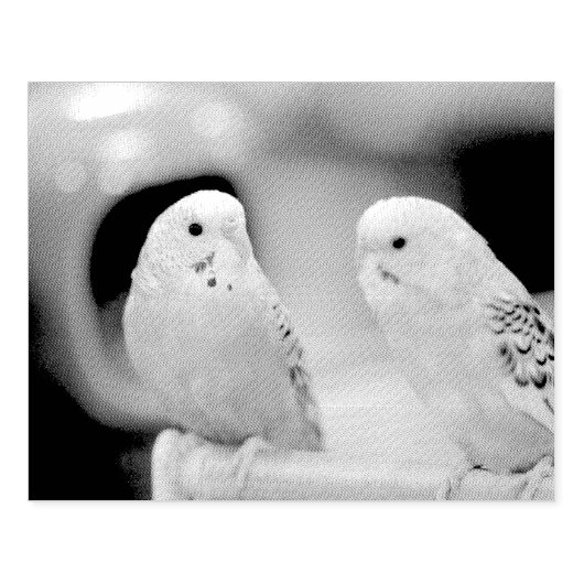 Ernstige keets rubberstempel (Afrduk)