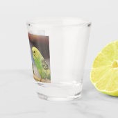 Ernstige keets shot glas (Rechts)