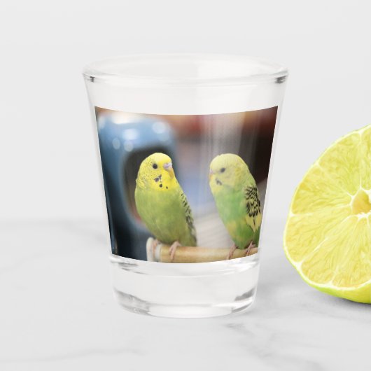 Ernstige keets shot glas (Voorkant)