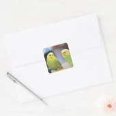 Ernstige keets vierkante sticker (Envelop)
