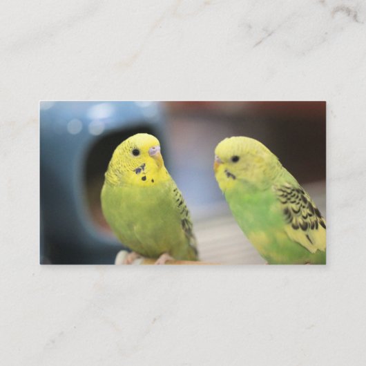 Ernstige keets visitekaartje (Achterkant)