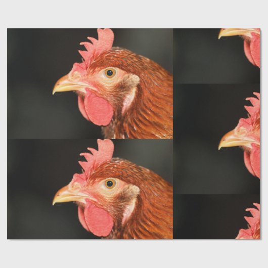 Ernstige kip cadeaupapier (Vlak)