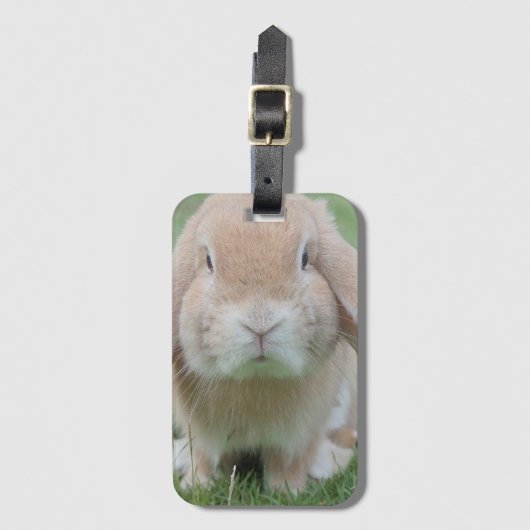 ernstige konijn foto bagagelabel (Voorkant (verticaal))