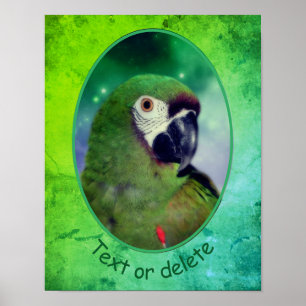 Ernstige Macaw Parrot gepersonaliseerde woorden Poster