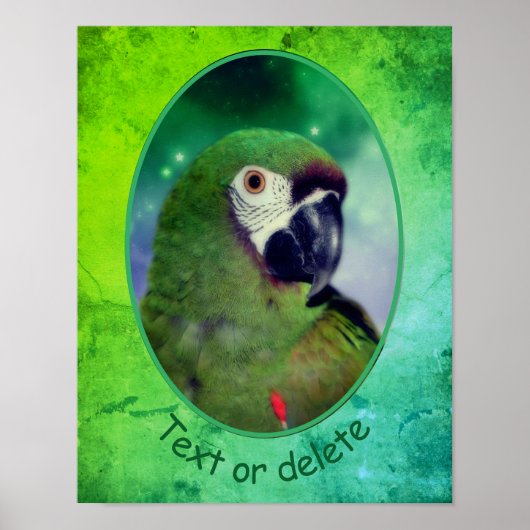 Ernstige Macaw Parrot gepersonaliseerde woorden Poster (Voorkant)
