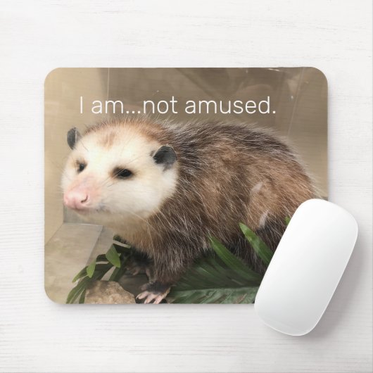 Ernstige possum mousepad muismat (Met muis)