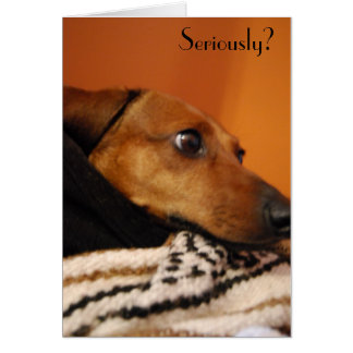 Ernstige puppy card