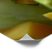 Ernstige salade poster (Hoek)