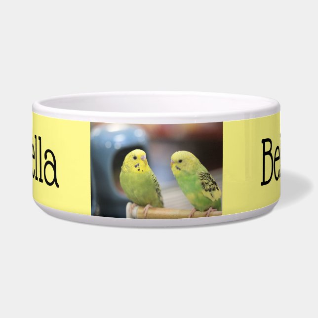 Ernstige sleutels voerbakje (Voorkant)