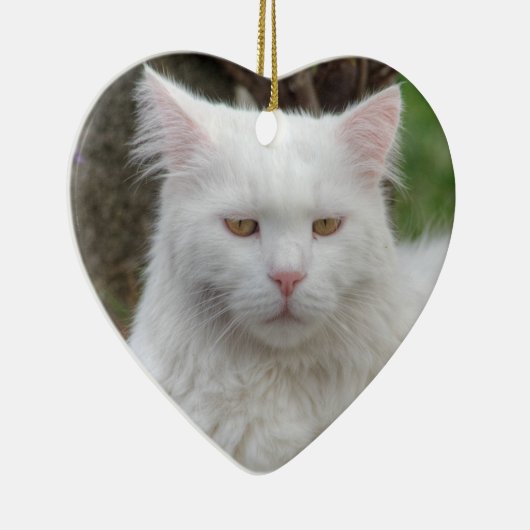 Ernstige witte kat keramisch ornament (Rechts)