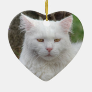 Ernstige witte kat keramisch ornament