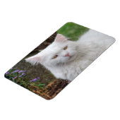 Ernstige witte kat magneet (Linkerzijde)