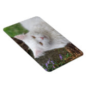 Ernstige witte kat magneet (Rechterzijde)