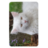 Ernstige witte kat magneet (Verticaal)