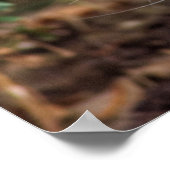 Ernstige witte kat poster (Hoek)