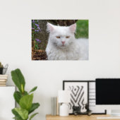 Ernstige witte kat poster (Thuiskantoor)