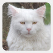 Ernstige witte kat vierkante sticker (Voorkant)