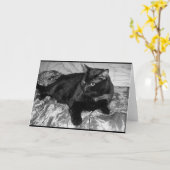 Ernstige zwarte kat kaart (Gele Bloem)
