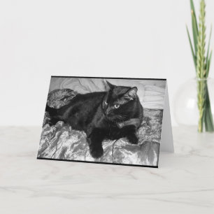 Ernstige zwarte kat kaart