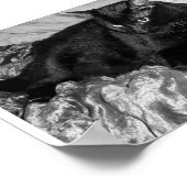 Ernstige zwarte kat poster (Hoek)