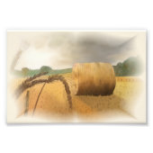 Erntezeit Foto Afdruk (Voorkant)