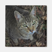 Eros Magneet (Voorkant)