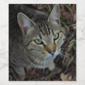 Eros Wijn Etiket (Enkel label)