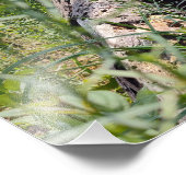 erosiesnijden foto afdruk (Hoek)