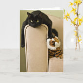 Ersatz Katten Notecard Kaart (Gele Bloem)