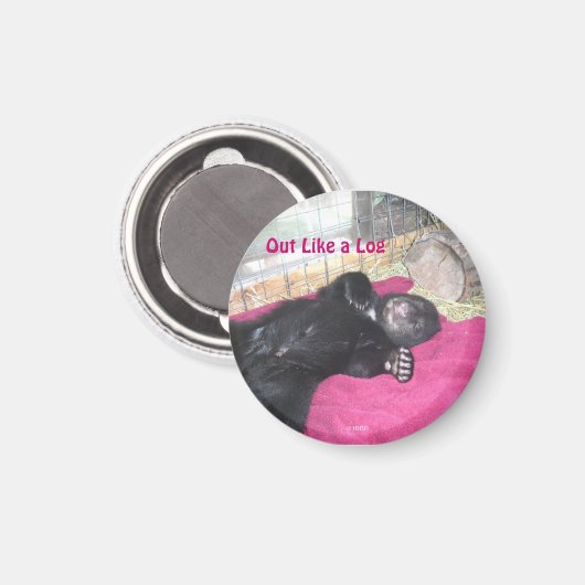 Eruit als een blokmagneet magneet (Voorkant / Achterkant)