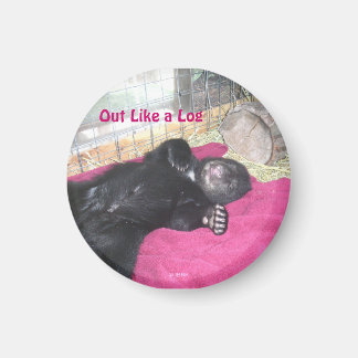 Eruit als een blokmagneet magneet