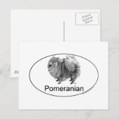Eruo Pomeraïsche Hond Briefkaart (Voorkant / Achterkant)