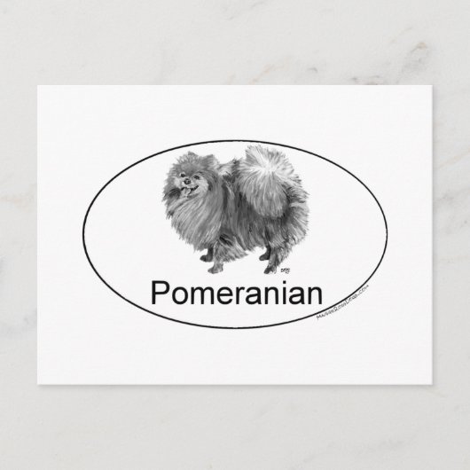 Eruo Pomeraïsche Hond Briefkaart (Voorkant)