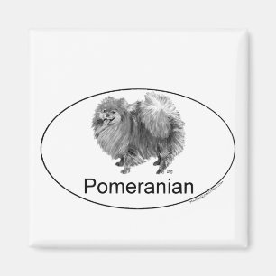 Eruo Pomeranian Dog Magneet