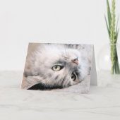 Ervaar je verjaardag als een kat kaart (Voorkant)