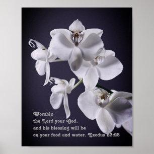 "Ervaren van de Heer Uw God" Exodus 23:25 profetis Poster