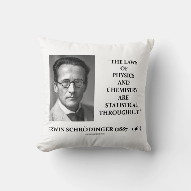 Erwin Schrödinger Natuurkunde Scheikunde Statistis Kussen (Voorkant)