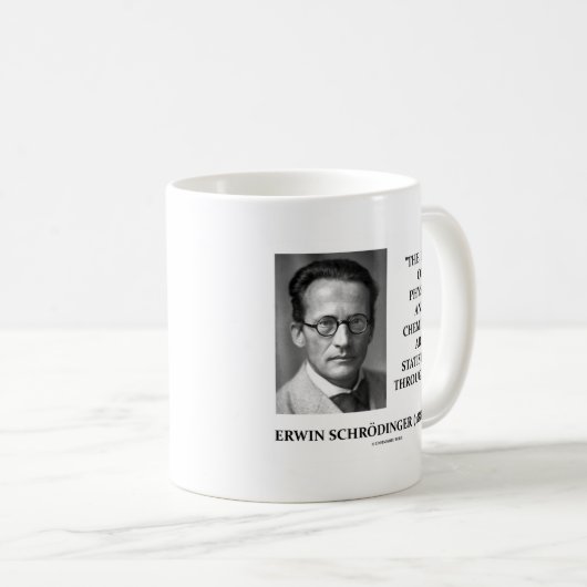 Erwin Schrödinger Physics Chemistry Statistical Koffiemok (Voorkant rechts)