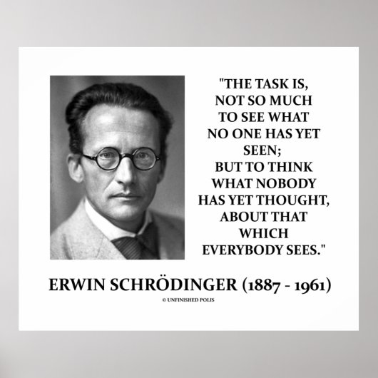 Erwin Schrödinger Task denkt dat nog niemand dacht Poster (Voorkant)