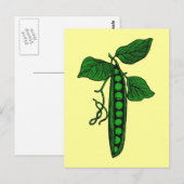 Erwten in peul briefkaart (Voorkant / Achterkant)