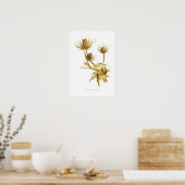 Eryngium oliverianum poster (Keuken)