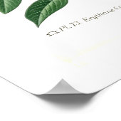 Erythrina crista-galli poster (Hoek)