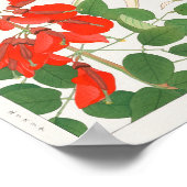 Erythrina, Panicum van Tanigami Konan Poster (Hoek)