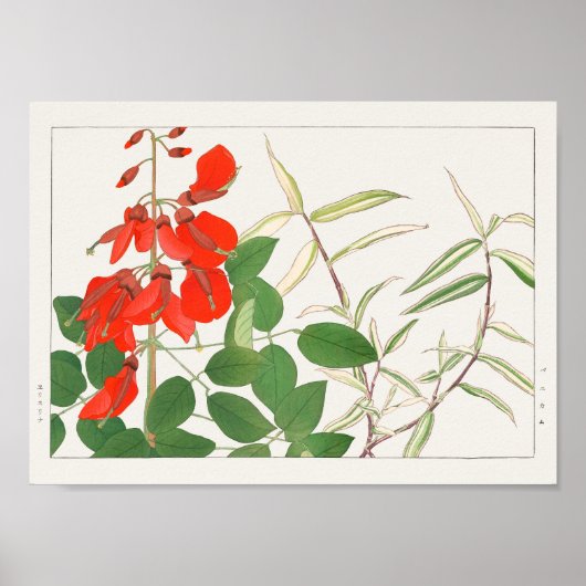 Erythrina, Panicum van Tanigami Konan Poster (Voorkant)